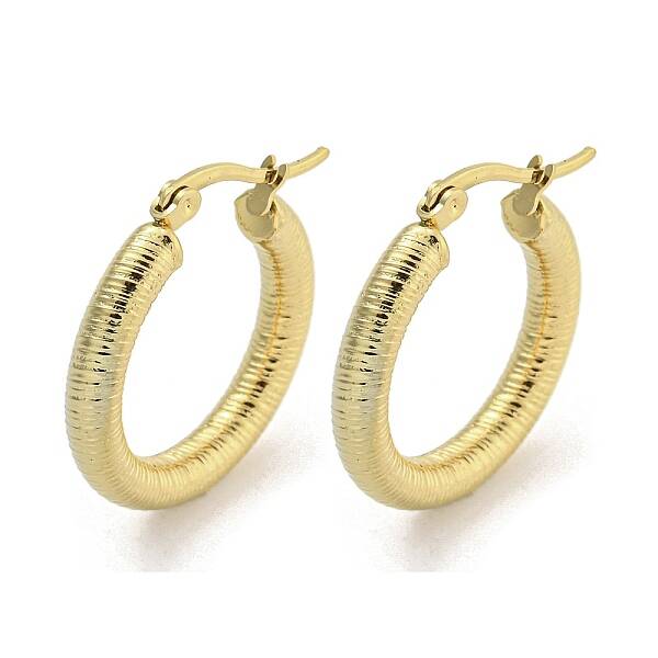 304 Stainless Steel Earrings for Women