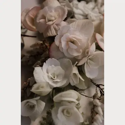 Love Letter - 6 | Size: 16