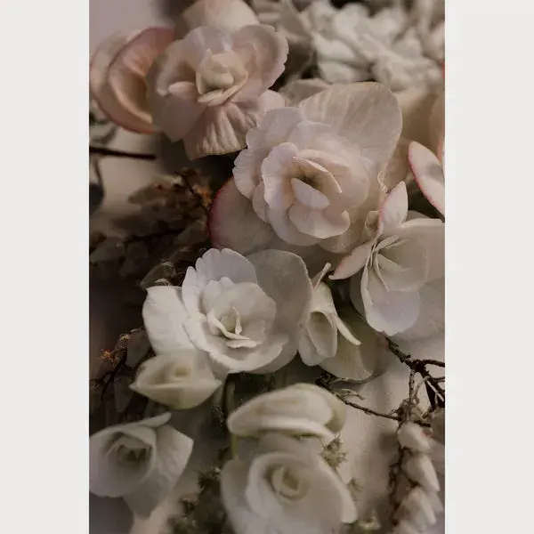 Love Letter - 6 | Size: 16