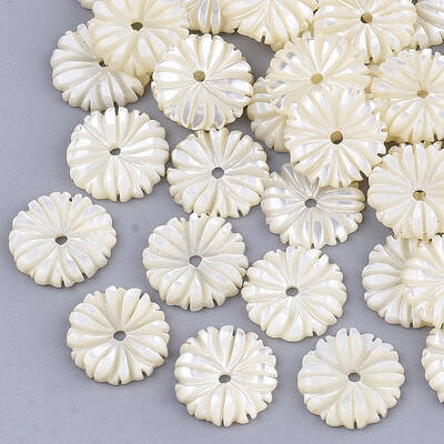Natural White Shell Beads