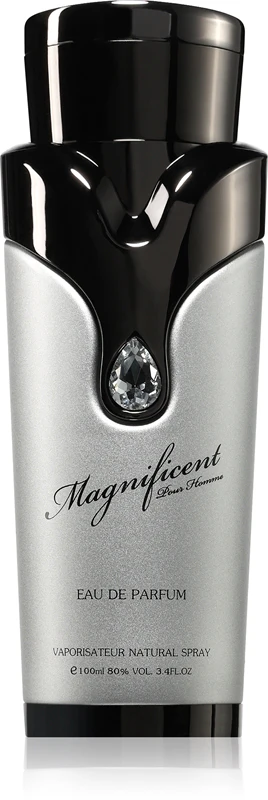Armaf Magnificent Homme - EDP - Volume: 100ml