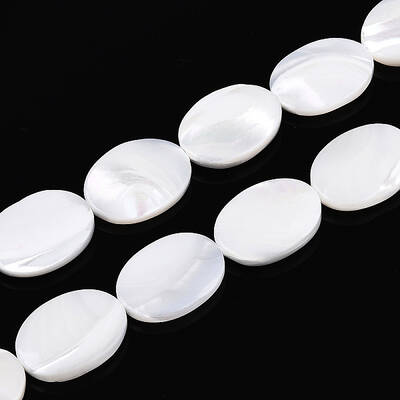 Natural Trochid Shell/Trochus Shell Beads