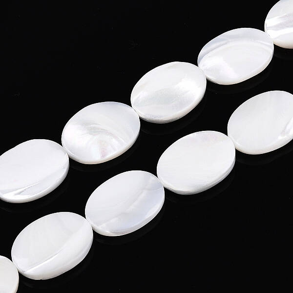 Natural Trochid Shell/Trochus Shell Beads