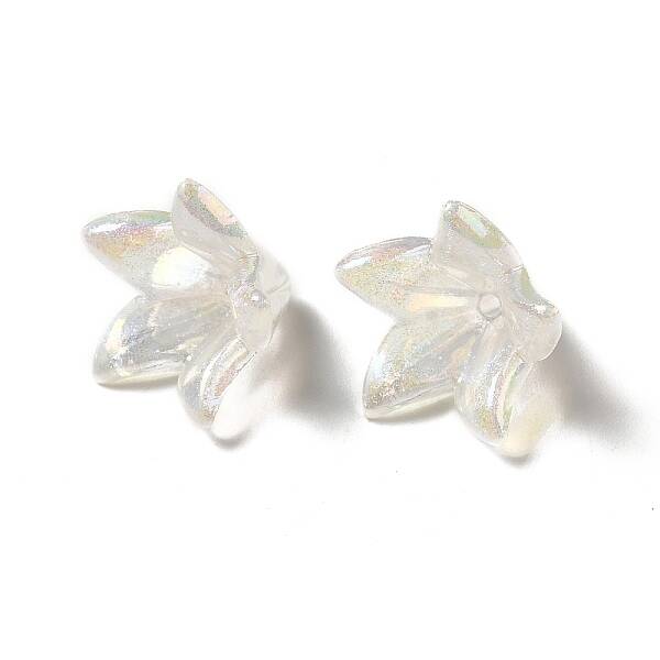 Transparent Acrylic Bead Caps