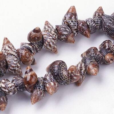 Natural Spiral Shell Beads Strands