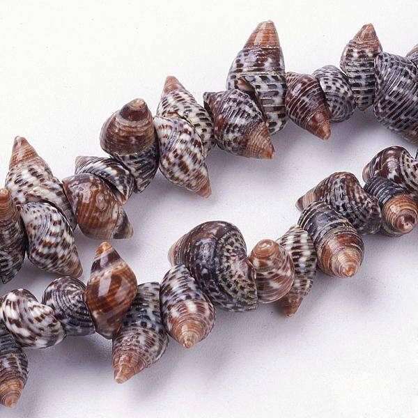 Natural Spiral Shell Beads Strands