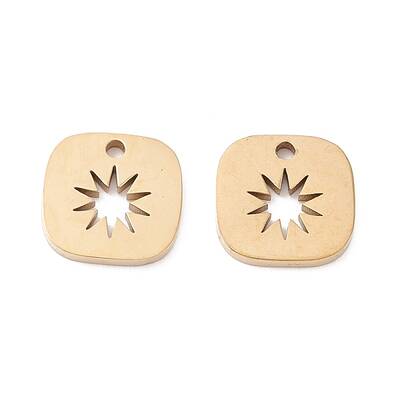 Ion Plating(IP) 316 Surgical Stainless Steel Charms