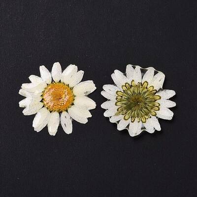 Opaque Resin Flower Cabochons