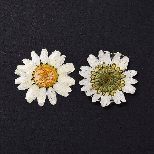 Opaque Resin Flower Cabochons