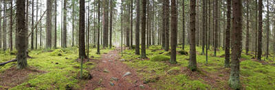 Drive PA Indian Paths: Meadowcroft-Logstown