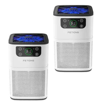 Home Air Purifier with Aromatherapy, 3-in-1 Filtration System, Compact H13 HEPA Filter for Dander Pollen Odor, Office Living ...