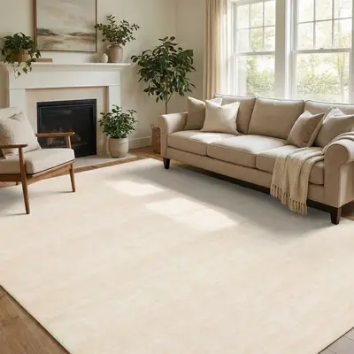 Garvee Modern Solid Washable Rug 5x7 Living Room Rug Non Slip Ultra Soft Non-Shedding Floor Cover Low Pile Stain-Resistant Mi...