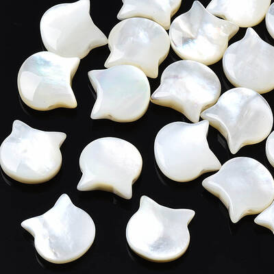 Natural White Shell Beads