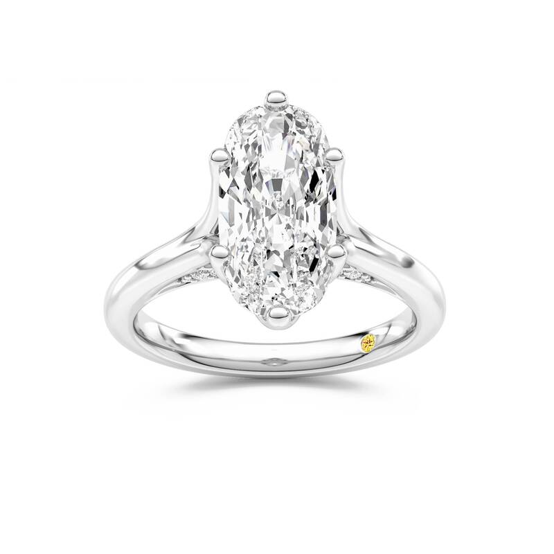 Alina Elongated Cushion Lab Grown Diamond Engagement Ring | 18K White Gold 3 1/2 CT. TW.
