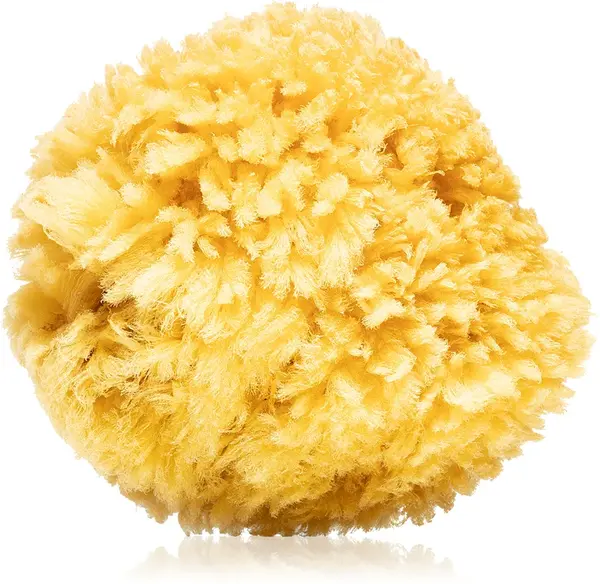 Magnum Natural Caribbean Sea Sponge 14-16 cm