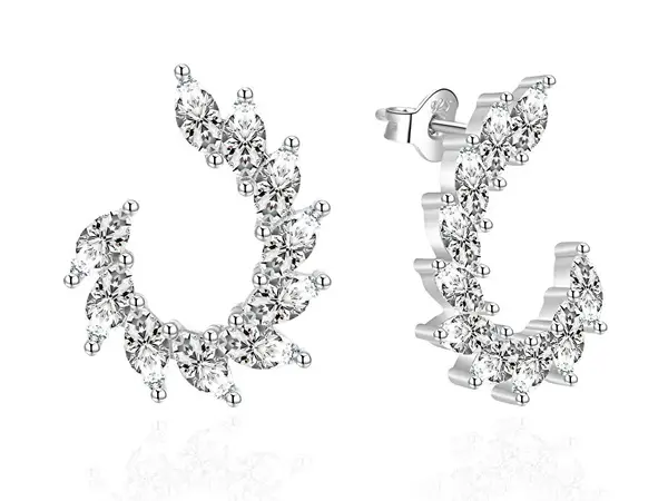 Agato Elegant Silver Earrings with Zirconia AGT-E053PW
