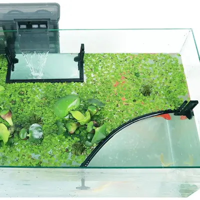 1 Set Fish Tank Floating Food Dispenser, Floating Plant Divider for Fish Tank, Fish & Aquatic Supplies