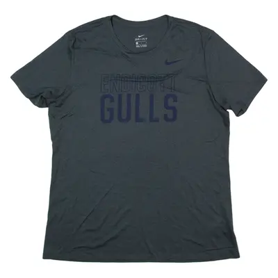 NIKE Endicott Gulls USA T-Shirt Grey Short Sleeve Womens L