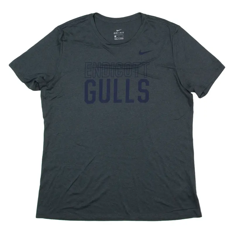 NIKE Endicott Gulls USA T-Shirt Grey Short Sleeve Womens L