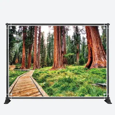 Towering Tree Wood Board Path Spring Forest Backdrop - Aperturee
