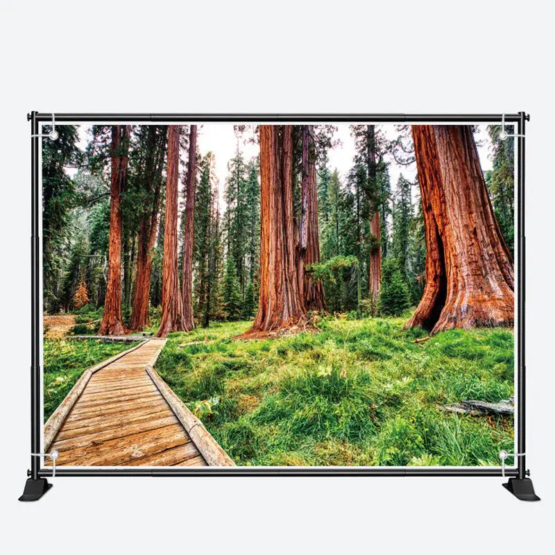 Towering Tree Wood Board Path Spring Forest Backdrop - Aperturee