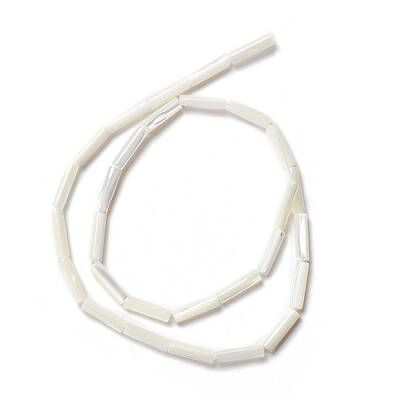 Natural Trochid Shell/Trochus Shell Beads