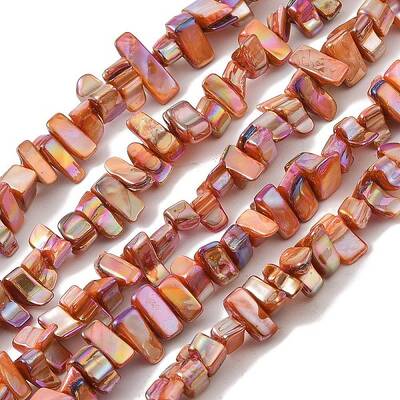 Natural Freshwater Shell Beads Strands