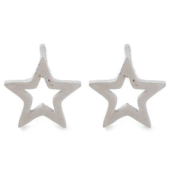 Non-Tarnish 304 Stainless Steel Stud Earrings