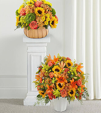 Heart of Gold Bundle