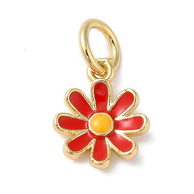 Brass Enamel Charms