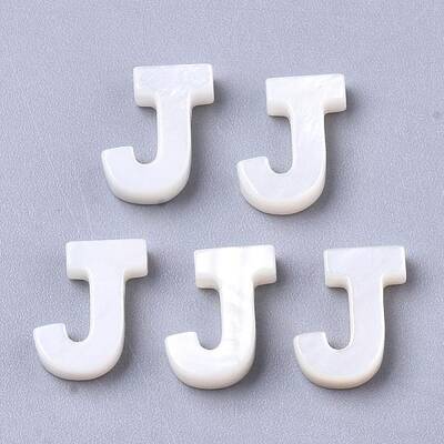 Natural Freshwater Shell Beads