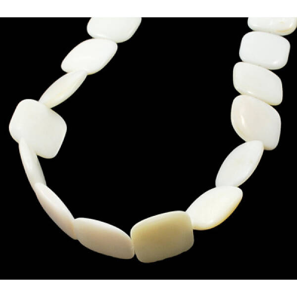 Natural Shell Beads Strands