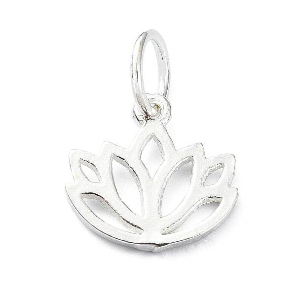 925 Sterling Silver Charms