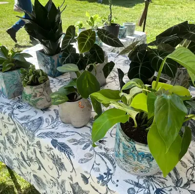 2 inch Indoor Plant Box