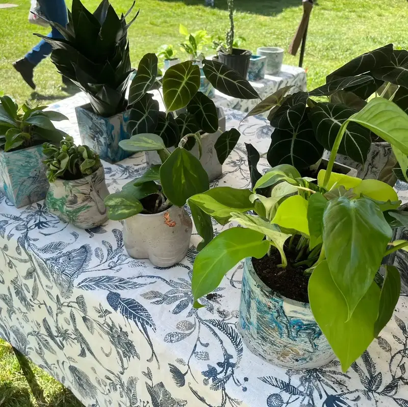 2 inch Indoor Plant Box