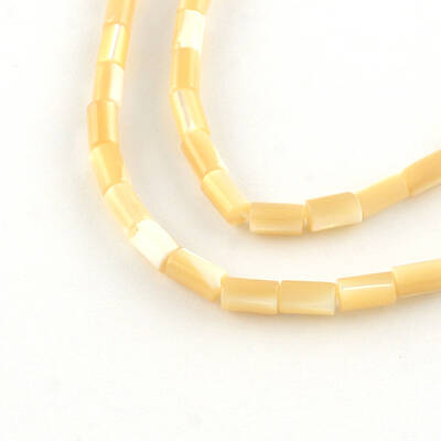 Column Natural Trochid Shell/Trochus Shell Beads Strands