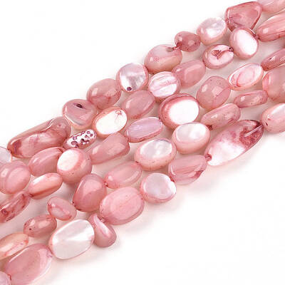 Natural White Shell Beads Strands