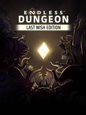 Endless Dungeon Last Wish Edition Europe | Steam
