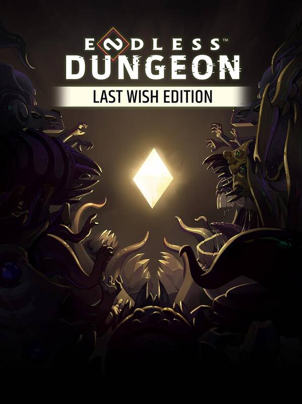 Endless Dungeon Last Wish Edition Europe | Steam