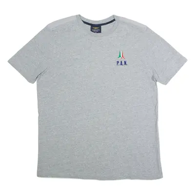 AERONAUTICA MILITARE Flag Embroidered Mens T-Shirt Grey Crew Neck 2XL