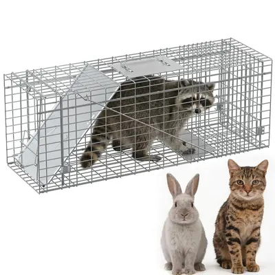 Garvee Heavy Duty Live Animal Trap Cage – Collapsible Steel, Sensitive Trigger – Humane for Raccoons, Feral Cats, Skunks,...