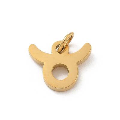 304 Stainless Steel Charms