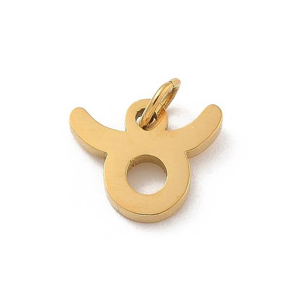 304 Stainless Steel Charms