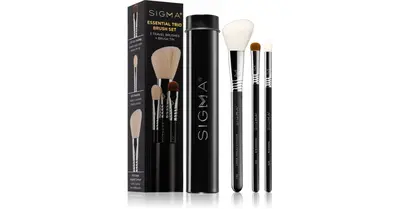 Sigma Beauty Essential mini face brush kit 4 pcs