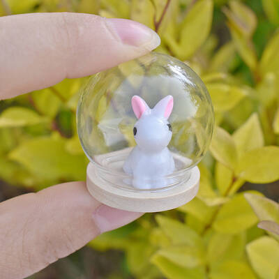 Glass Dome Cover