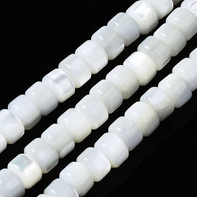Natural Trochid Shell/Trochus Shell Beads Strands