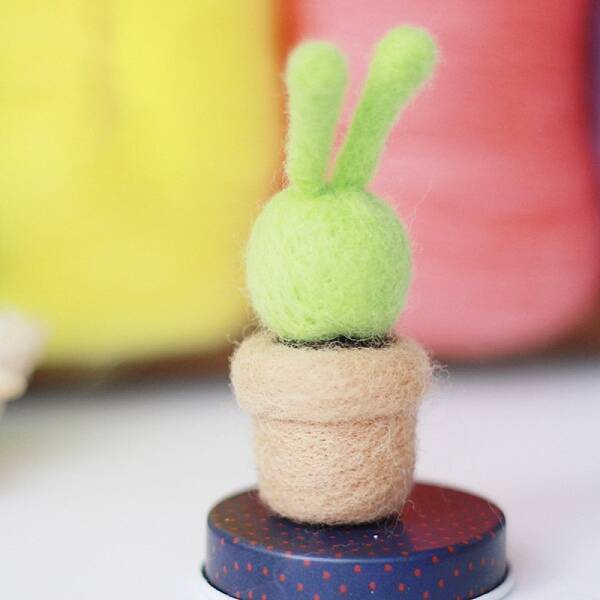 Succulent Plant Needle Felting Kit