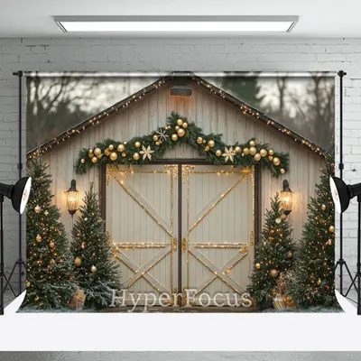 Light Sparke Wooden Door Christmas Photo Backdrop - Aperturee