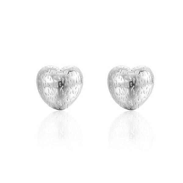 Non-Tarnish 304 Stainless Steel Stud Earrings for Women