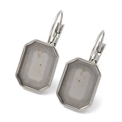 304 Stainless Steel Leverback Earring Finding